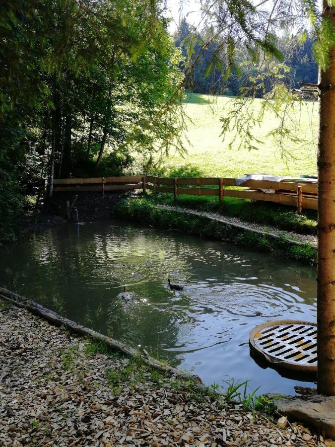 Ferienhaus Am Waldrand Von Egg Bregenzer Wald Bagian luar foto