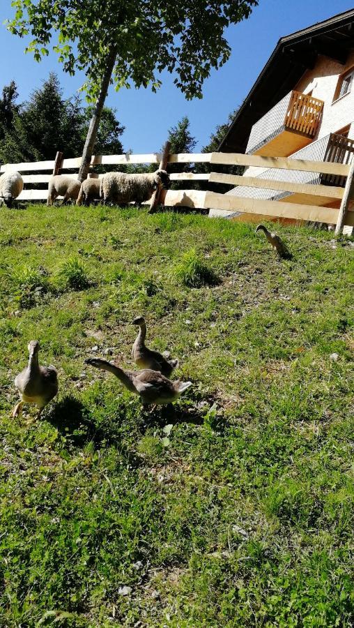 Ferienhaus Am Waldrand Von Egg Bregenzer Wald Bagian luar foto