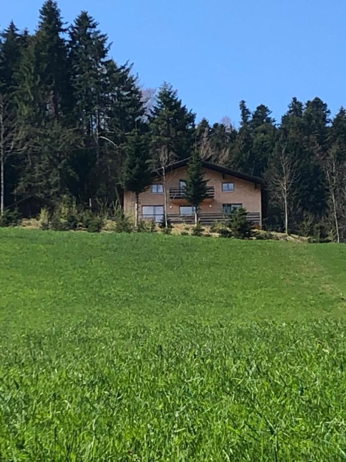 Ferienhaus Am Waldrand Von Egg Bregenzer Wald Bagian luar foto