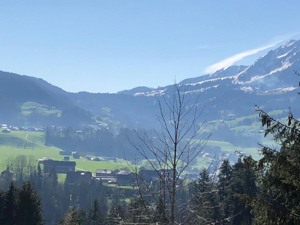 Ferienhaus Am Waldrand Von Egg Bregenzer Wald Bagian luar foto
