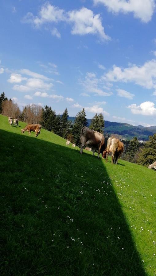 Ferienhaus Am Waldrand Von Egg Bregenzer Wald Bagian luar foto